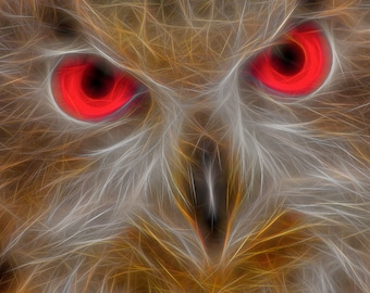 Electric Owl/ Birds/ Owls/ Wildlife/ Wall Art/ Eyes/Digital Art/Photography/Orange Red/Feathers/Gold and Silver