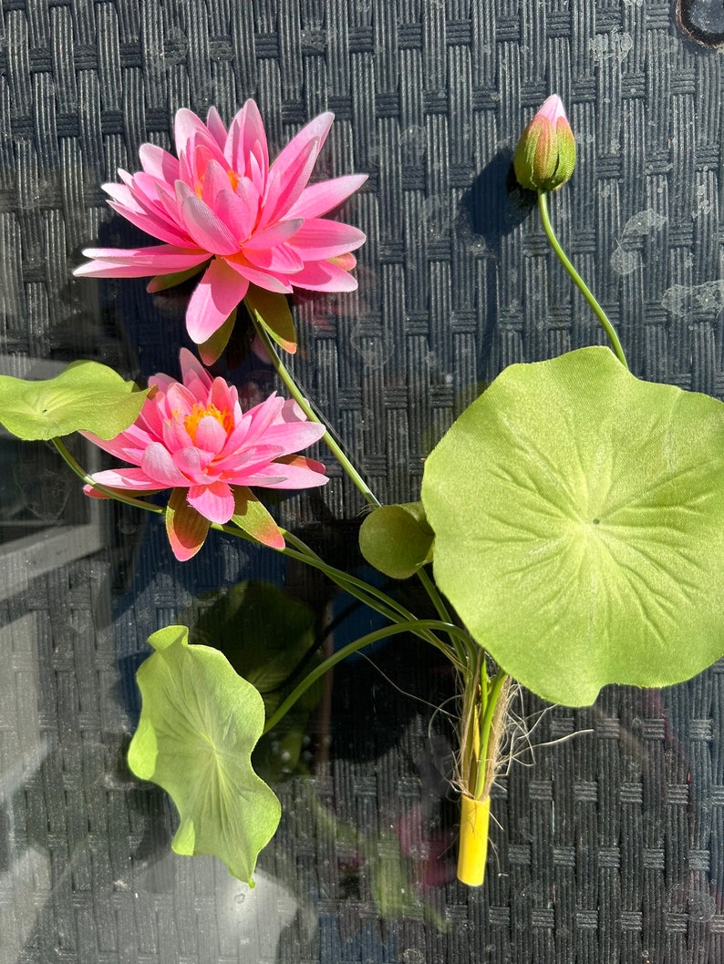Pink Waterlily Faux Flower Plant With Roots/artificial Lotus Flowers