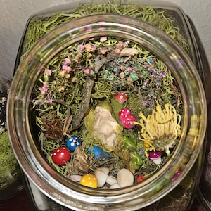 Zaczarowana Leśna Wróżka | Nowo Narodzona w Krainie