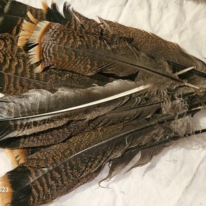 Wild Turkey Feathers for Smudging, Jewelry, Crafts, Rituals