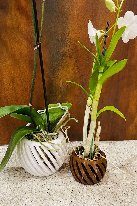 Vaso per orchidee a spirale con fori di drenaggio: elegante