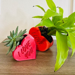 Valentine’s Day Heart Planter