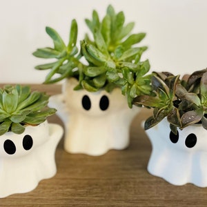 Spectral Serenity: 3D Printed Halloween Ghost Shaped Planter for Enchanting Succulents