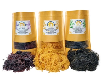 Wildcrafted Sea Moss from St.Lucia - Organic Sea Moss - Natural Seamoss - 4oz, 8oz, 1lb Dried Seamoss - Purple Gold Green Mixed Seamoss