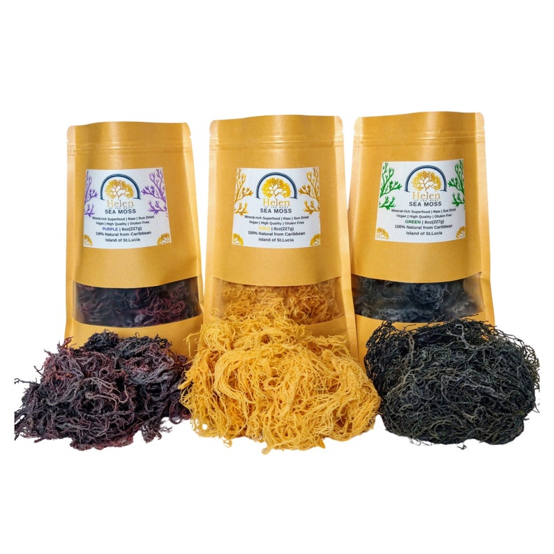 Wildcrafted Sea Moss from St.Lucia - Organic Sea Moss - Natural Seamoss - 4oz, 8oz, 1lb Dried Seamoss - Purple Gold Green Mixed Seamoss 