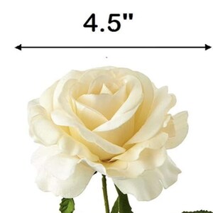 Op de afbeelding: Een cr&egrave;mekleurige roos met een diameter van ongeveer 11,4 cm, tegen een witte achtergrond. De roos heeft meerdere lagen delicate bloemblaadjes en groene bladeren. De steel is zichtbaar, wat duidt op een snijbloem of kunstbloemstuk.