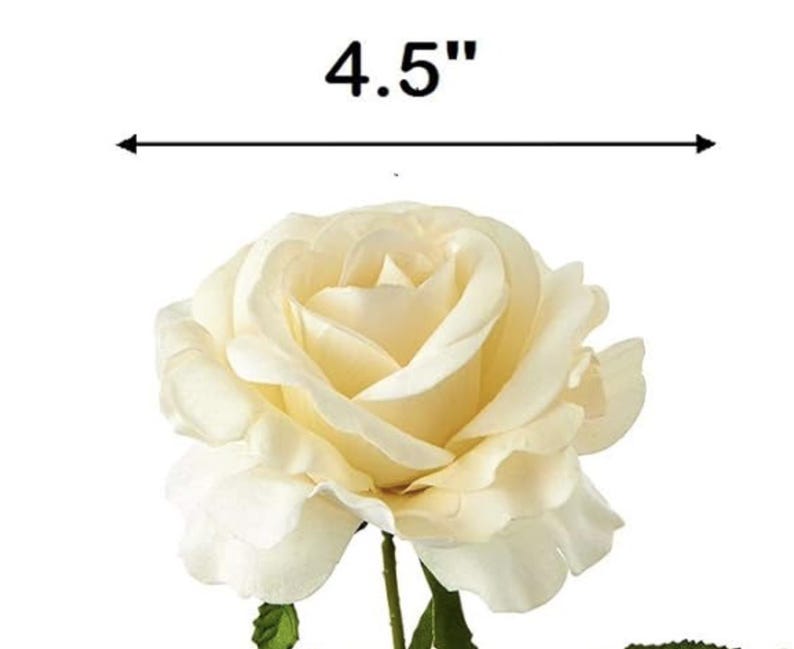 Op de afbeelding: Een cr&egrave;mekleurige roos met een diameter van ongeveer 11,4 cm, tegen een witte achtergrond. De roos heeft meerdere lagen delicate bloemblaadjes en groene bladeren. De steel is zichtbaar, wat duidt op een snijbloem of kunstbloemstuk.