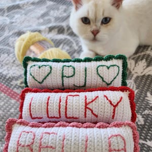 Personalisiertes Katzenminze Katzenspielzeug: Gestickter Name, personalisiertes Kitty Kissen