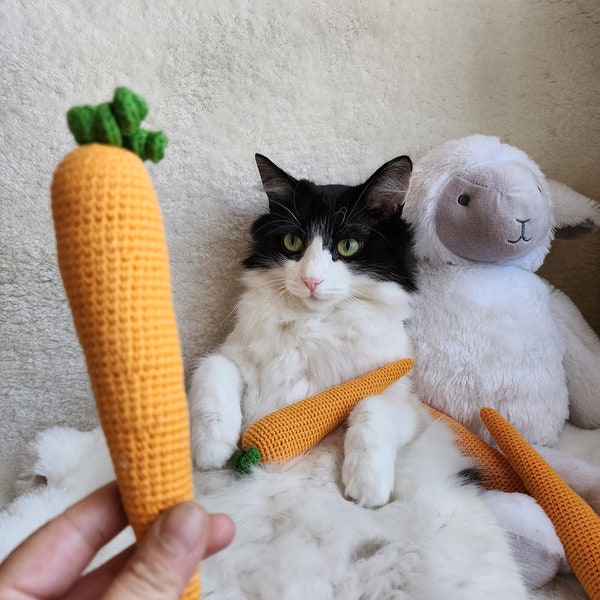 Carrot cat toy , catnip carrot toy, crochet Carrot, valerian cat toy, cat toys, catnip toy, handmade cat toy,  easter cat toy, pascalya