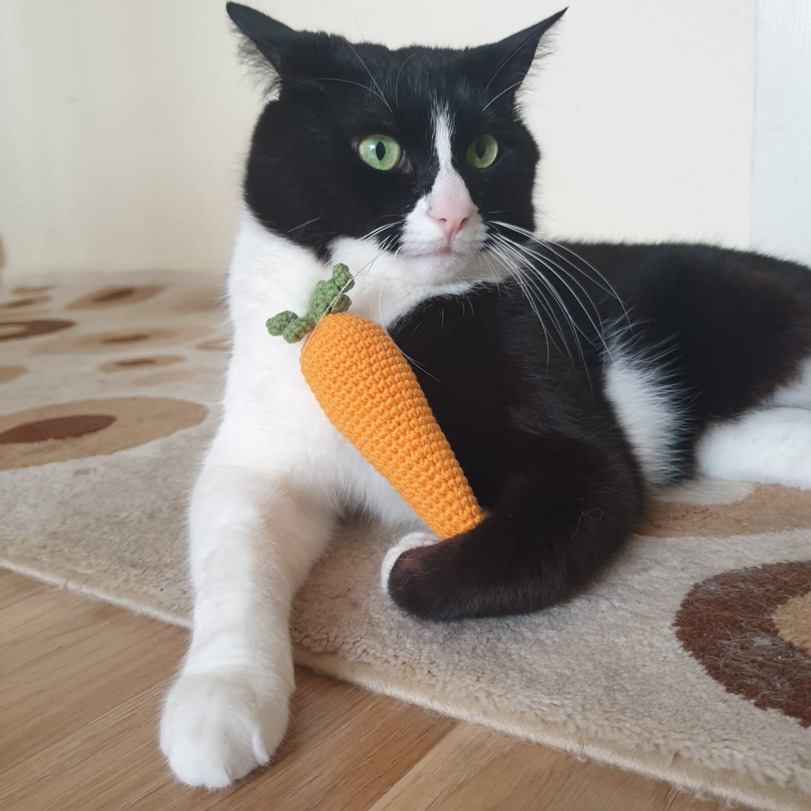 Carrot cat toy Catnip toy crochet Carrot vege cat toy Etsy