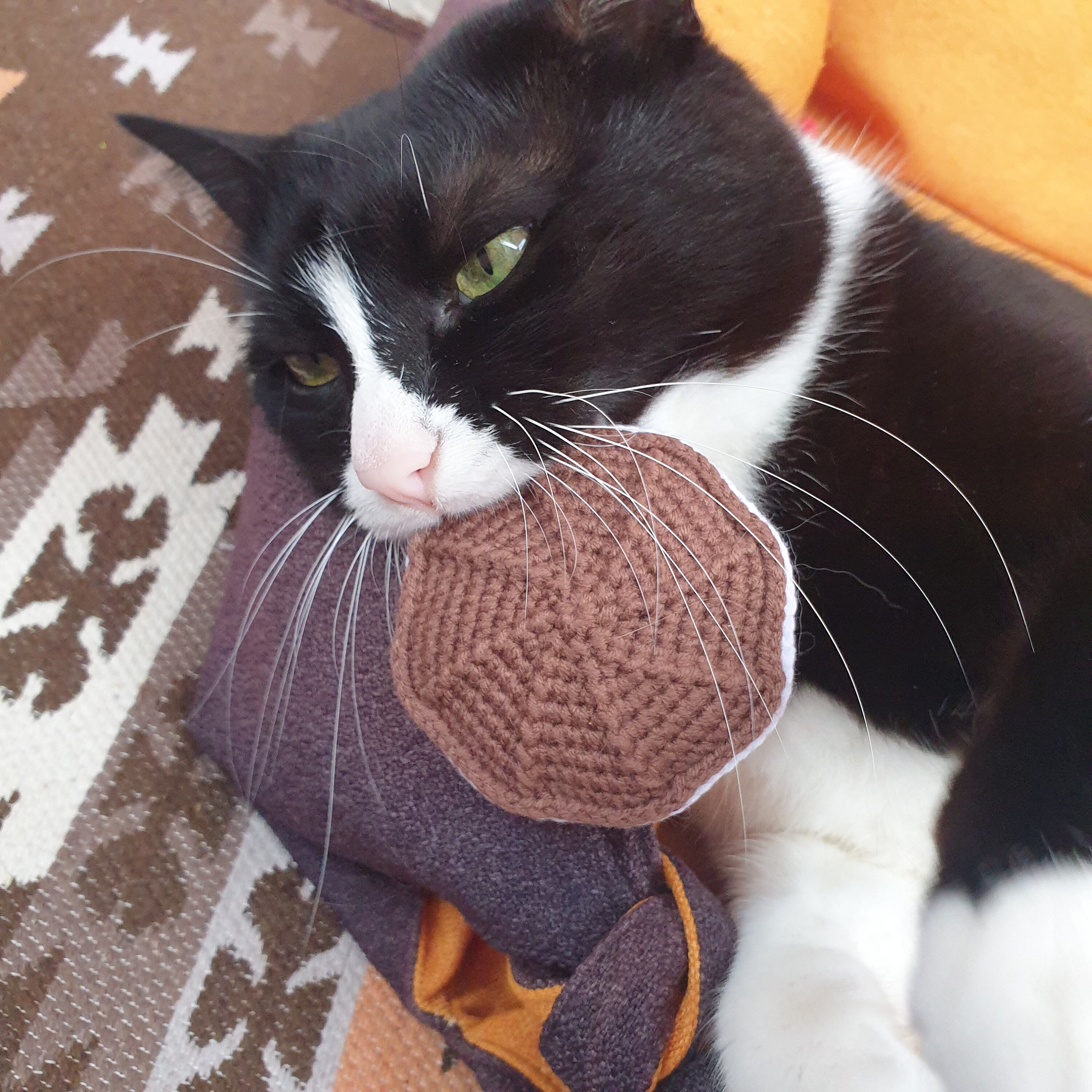 Biscuit toy for cats biscuit toy Cookie Felt Cat Toy Etsy