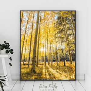 Aspen Tree Print, Herbst Wandkunst, Aspen Tree, Flagstaff Arizona, Gelber Baum Foto, Herbstfotografie, Arizona Wandkunst, Flagstaff Foto
