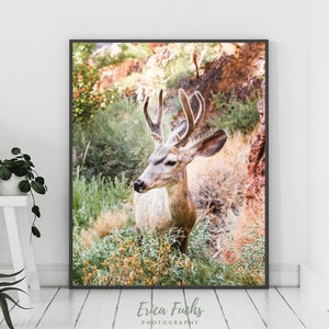 Deer Photography, Deer Portrait, Deer Decor, Forest Poster, Forest Wall Art, Buck Wall Art, Buck Photo, Deer Antlers, Deer Gift
