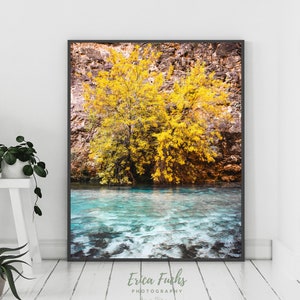 Herbstbaum, Havasupai, Aqua Water, Herbst Wandkunst, Gelber Baum Druck, NaturFoto, Türkis Kunst, Gelbes Poster, Herbstblätter, Herbstkunst