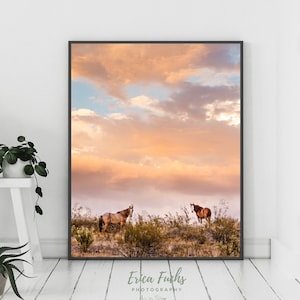 Horse Sunset, Horse Photography, Arizona Sunset, Desert Horse, Horse Lover Gift, Horse Poster, Horse Print, Horse Poster, Horse Wall Art