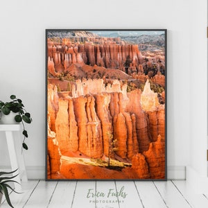 Bryce Canyon Print, Desert Photography, Utah Print, National Park Print, Bryce Canyon Art, Desert Print, Southern Utah Photo, Utah Decor