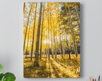 Impressão em tela de outono, impressão de árvore de Aspen, fotografia da natureza, arte de árvore amarela, arte de parede de Flagstaff Arizona, tela de Aspen, fotografia amarela