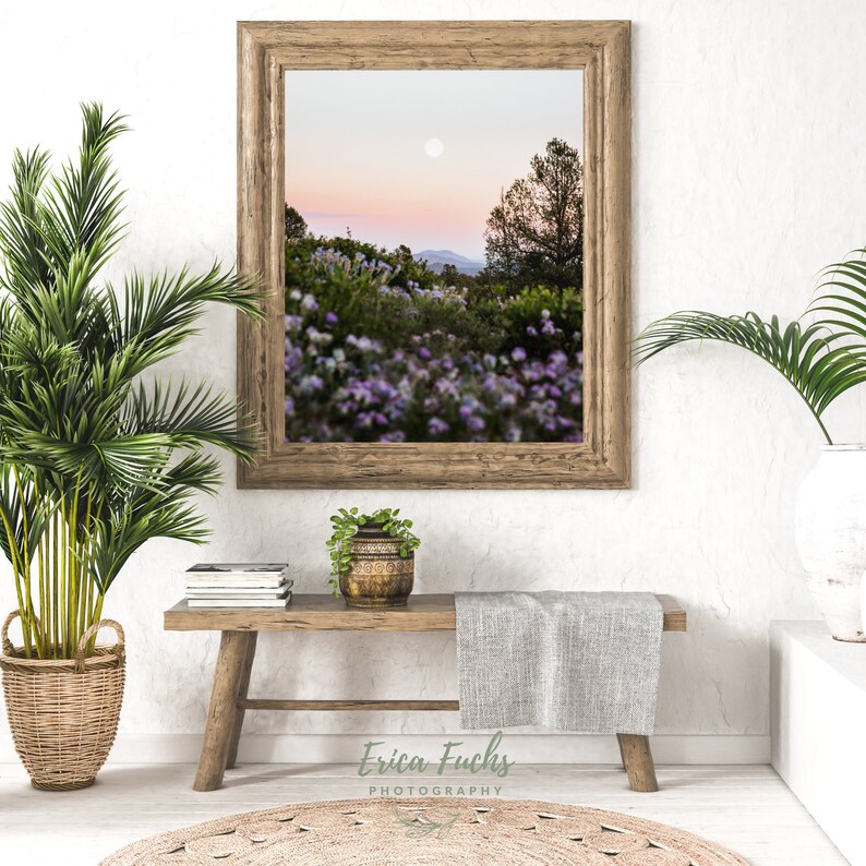 May include: A framed photograph of a landscape with a full moon in the sky. The landscape is a field of purple flowers with a forest in the background. The photo is hanging on a white wall with a wooden bench and plants in front of it.