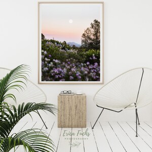 May include: A framed photograph of a landscape with a full moon in the sky, a pink sunset, and a field of purple wildflowers in the foreground.