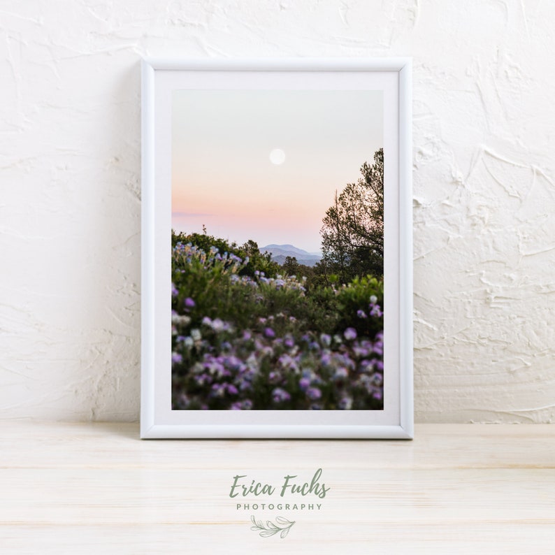 May include: A framed photograph of a sunset over a mountain range with a full moon in the sky. The foreground is a field of purple wildflowers.