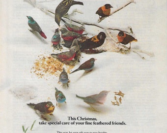 Original 1985 Full Page Magazine Advertisement for JOHNNIE WALKER Black Label Scotch 8 x 11 inches FREE Shipping!