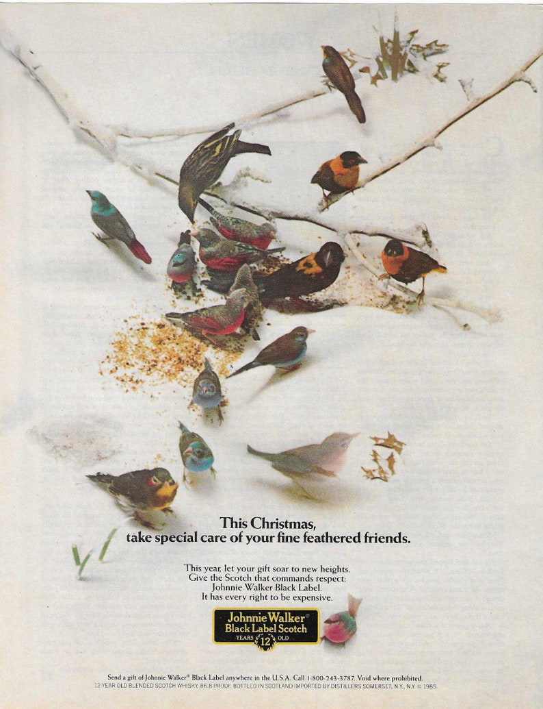 May include: A vintage advertisement for Johnnie Walker Black Label Scotch whisky. The ad features a snowy scene with a group of birds gathered around a pile of seeds. The text reads "This Christmas, take special care of your fine feathered friends." and "Johnnie Walker Black Label Scotch. It has every right to be expensive."