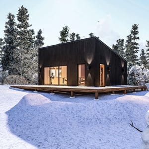 Plan de cabane de maison moderne, plan architectural de cottage maigre de 20 pi x 25 pi (20 pi x 25 pi)