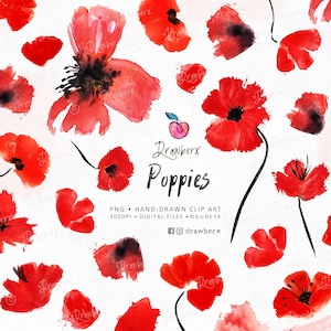 Watercolor Poppy Clipart, Red Poppies, Flower Clip art, png, wildflowers