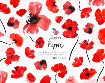 Watercolor Poppy Clipart, Red Poppies, Flower Clip art, png, wildflowers