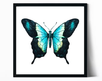 May include: A framed watercolor painting of a blue and black butterfly with yellow accents. The butterfly is centered on a white background.