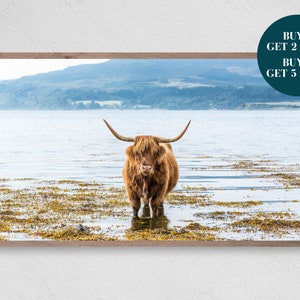 Highland Cow Samsung Frame TV Art, Livestock Digital Art, Digital Download for Samsung Frame, Highland Cow Print, Samsung Art, Coastline Art