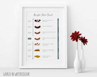 Bristol Stool Chart