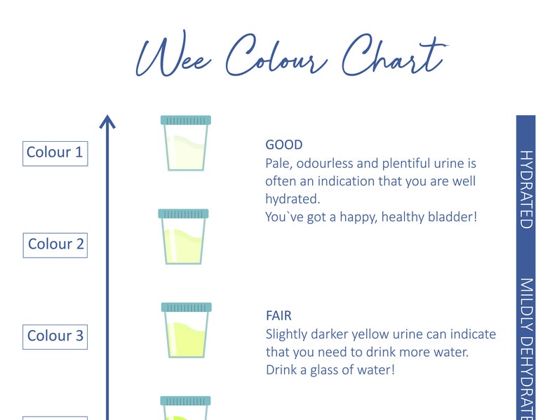 Wee Colour Chart Digital to Print Etsy