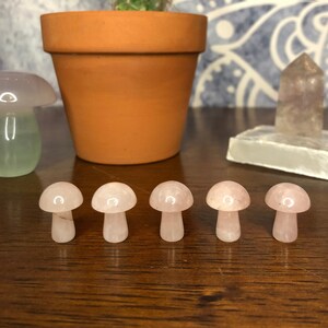 MINI crystal mushroom carving, Rose Quartz