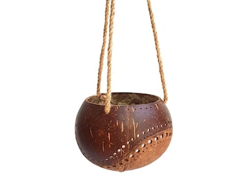 Hanging Two-Toned Coconut Planter | Crafted from a Reclaimed Coconut Shell | Eco-Friendly Jute Rope Hanger | Boho-Style Garden Decor