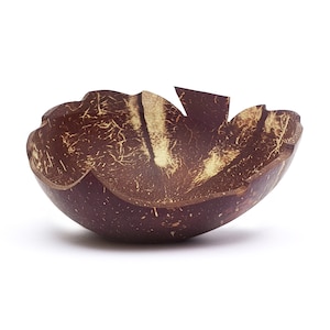 Nature-Inspired Leaf-Shaped Coconut Bowl | Sustainable, All-Natural | Made from a Reclaimed Coco Shell | 10 Bowls Sold = 1 Tree Planted