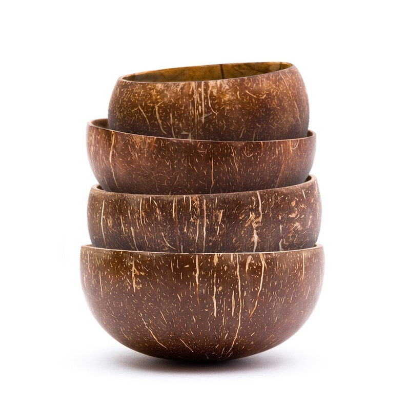 Rainforest Bowls Set of 4 Raw Coconut Bowls Variety Pack