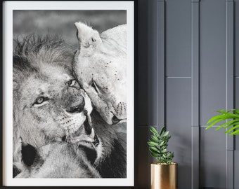 lion wall art, home posters, animal poster