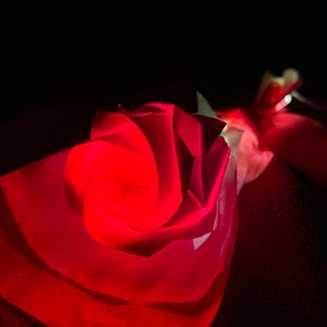 Light up beauty and the beast origami rose bouquet with free personalized wooden heart charm! Holiday or gift for any occasion!
