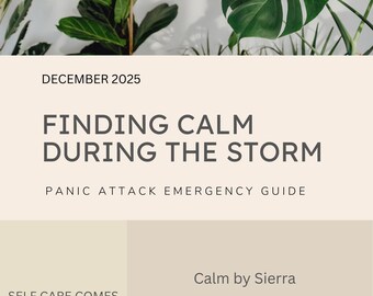 Finding Calm During The Storm