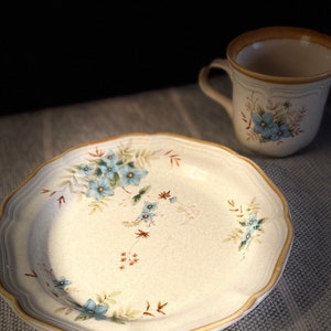Mikasa Day Dream Gardenware Salatteller und Kaffeetasse