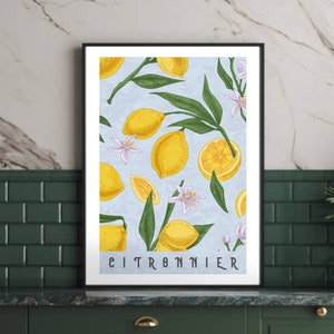 Citronnier lemons printable Art Print, Lemon digital Prints, Printable wall art, Printable kitchen art prints, Instant download, French Food