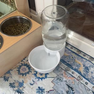 May include: A clear glass water bottle with a white plastic base and a white bowl. The bottle is filled with water. A wooden pet feeder with two stainless steel bowls is in the background. The feeder contains pet food and hay.