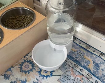 Regular Mouth Mason Jar Water Bowl for Small Pets | Gravity-Fed Bunny, Guinea Pig & Rabbit Waterer | Pet Water Dish