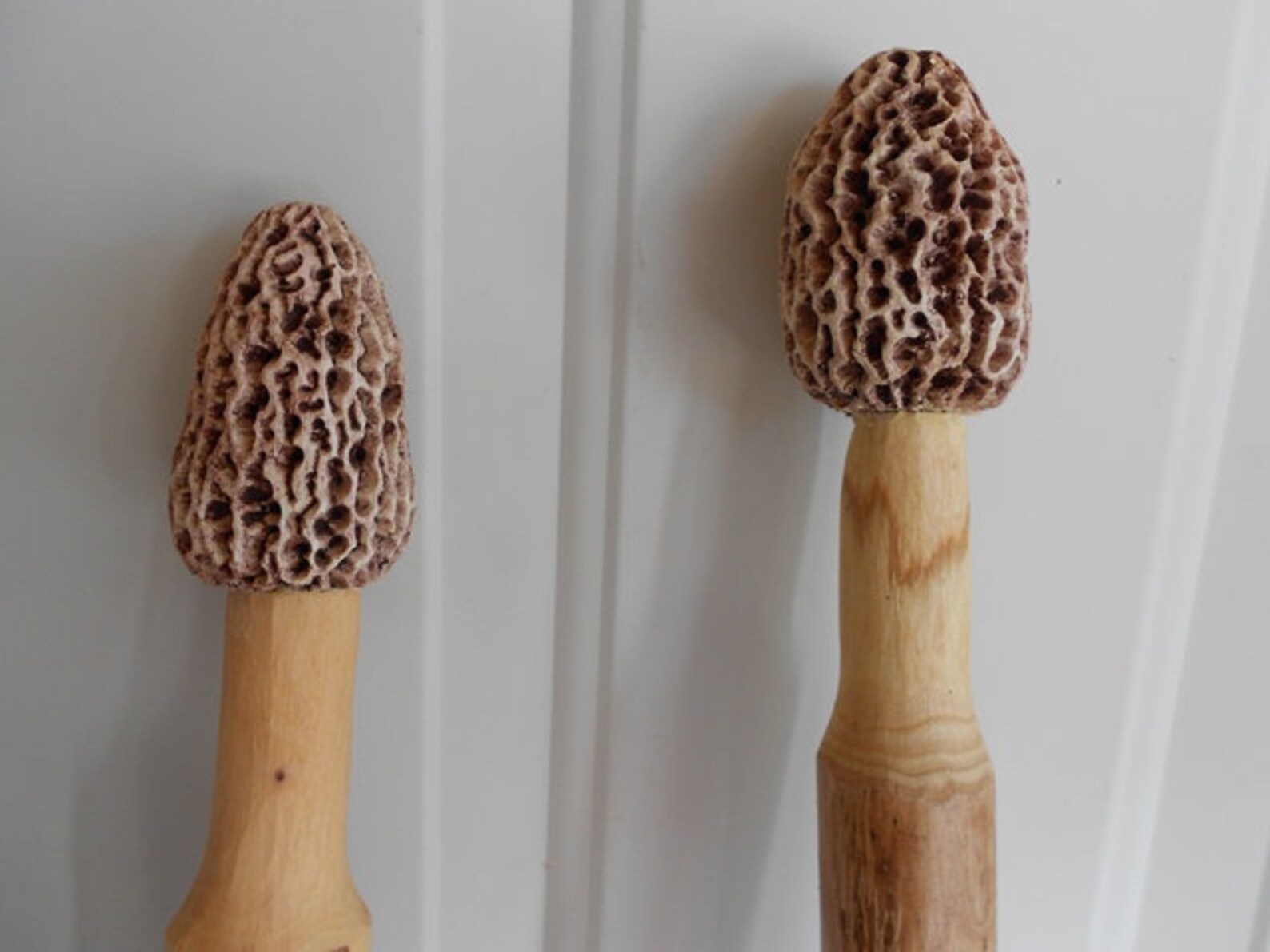 Morel Mushroom Walking Sticks Etsy