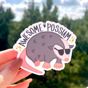 Awesome Possum Sticker / Opossum Sticker / Random Fun Sticker / Cool Possum / Immaculate Vibes