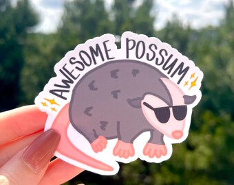Awesome Possum Sticker / Opossum Sticker / Random Fun Sticker / Cool Possum / Immaculate Vibes