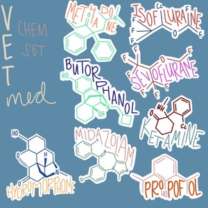 Ensemble d'autocollants de médecine vétérinaire / Stickers vétérinaires / Stickers techniques vétérinaires / Stickers DVM / Stickers chats / Stickers chiens / Anesthésie / Chimie