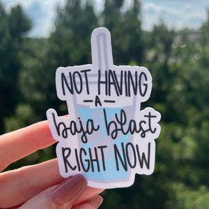 Not Having A Baja Blast Sticker / Taco Bell Sticker / Food Sticker / Funny Pun Sticker / Dad Jokes / Mountain Dew / Cute Sticker