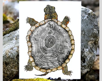 Wooden Turtle Print